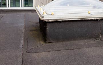 disadvantages of Treffgarne flat roofs