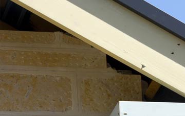 soffit repair Treffgarne